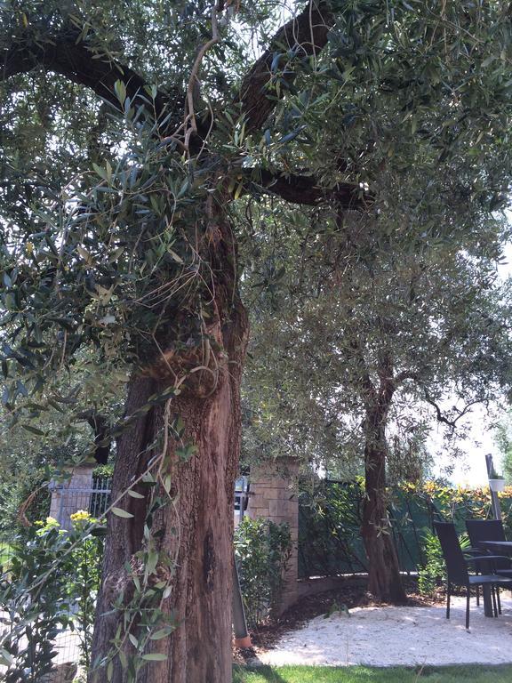 Casa Alla Rocca アルコ エクステリア 写真